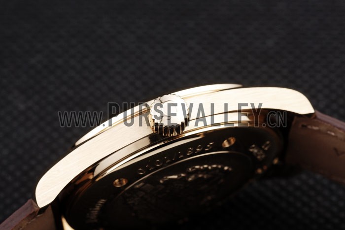 Omega Swiss Seamaster Aqua Terra Brown Strap White Striped Dial