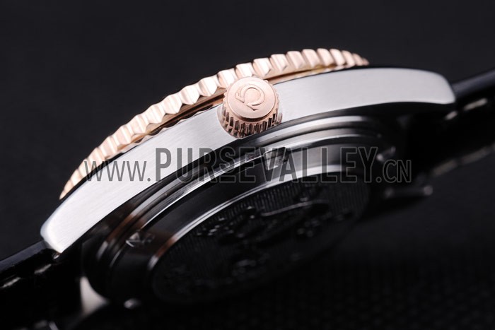 Omega Seamaster - om173