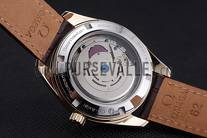 Omega Seamaster Planet Ocean GMT White Dial Gold Case Brown Leather Band 622399