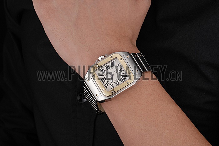 Swiss Cartier Santos De Cartier Galbee Yellow Gold and Steel Case Steel Bracelet 622643
