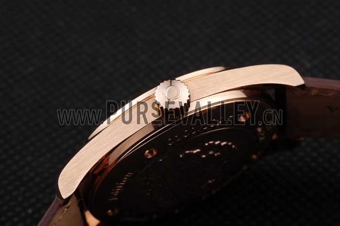 Omega Swiss Seamaster Railmaster Brown Strap Brown Striped Dial