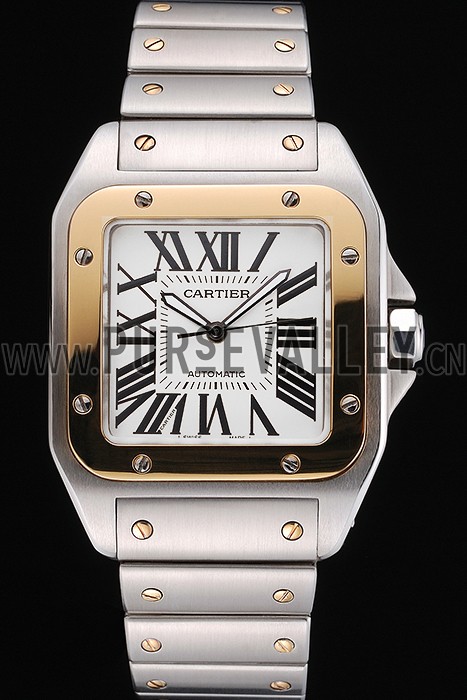 Swiss Cartier Santos De Cartier Galbee Yellow Gold and Steel Case Steel Bracelet 622643