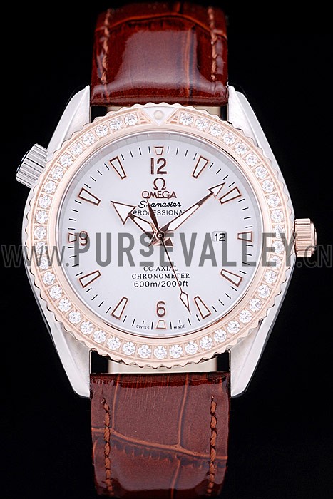 Omega Seamaster - om170