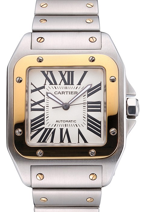 Swiss Cartier Santos De Cartier Galbee Yellow Gold and Steel Case Steel Bracelet   622643