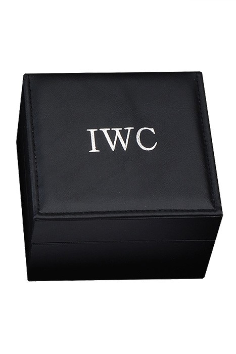 IWC Watch Case