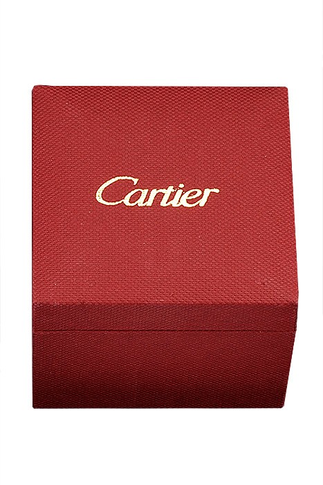 Cartier Watch Case