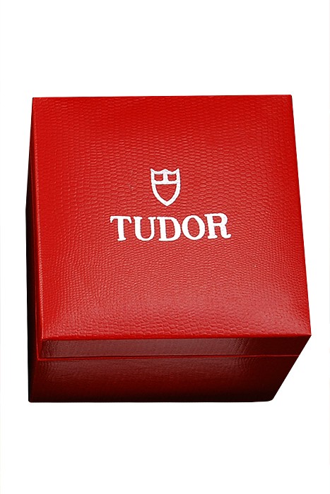 Tudor Watch Case